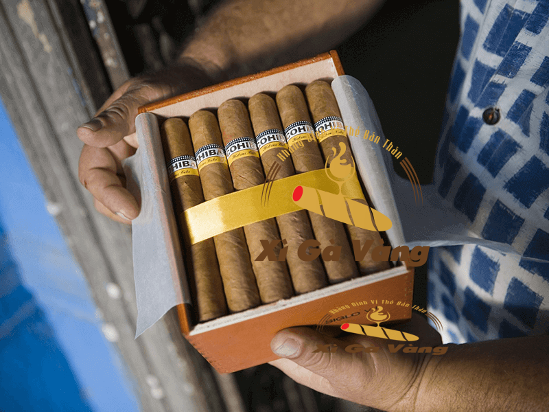 Xigachinhhangchuyên cung cấp xì gà chất lượng cao